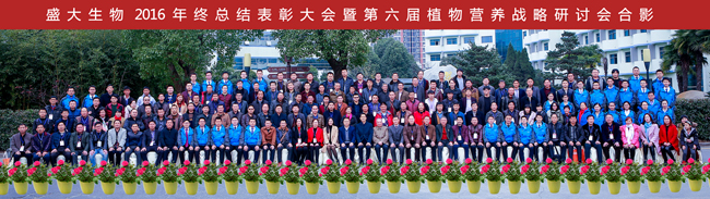 网站1.jpg