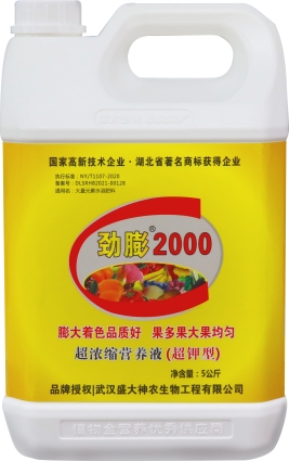 劲膨2000.jpg