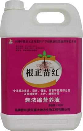 根正苗红.jpg 根正苗红.jpg